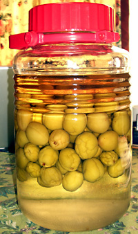 日々雑感 - DoromPATIO