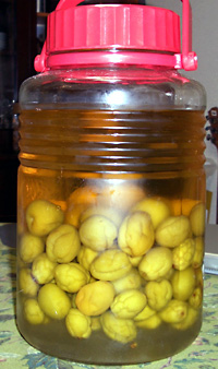 日々雑感 - DoromPATIO