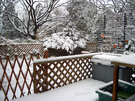 日々雑感 - DoromPATIO