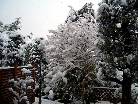 日々雑感 - DoromPATIO