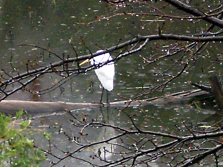 日々雑感 - DoromPATIO