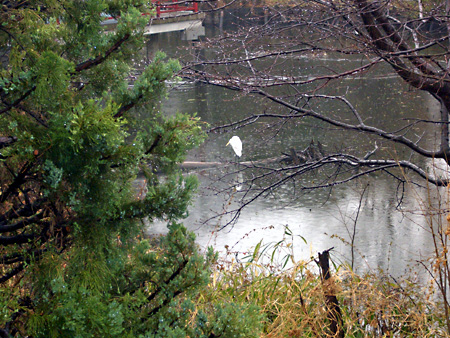 日々雑感 - DoromPATIO