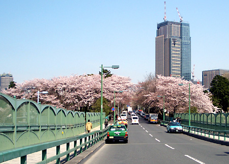 日々雑感 - DoromPATIO