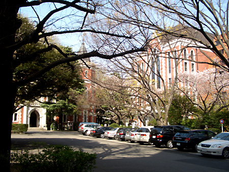 日々雑感 - DoromPATIO