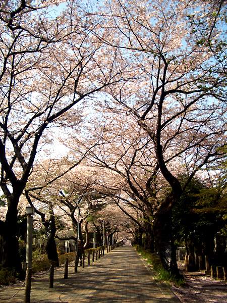 日々雑感 - DoromPATIO