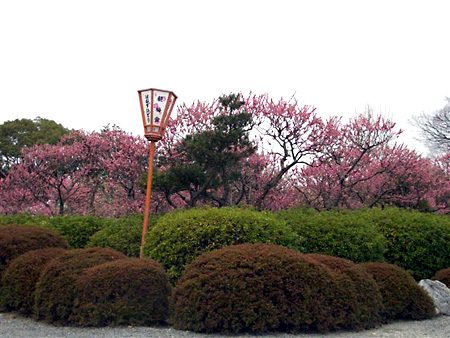 日々雑感 - DoromPATIO