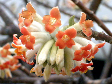 日々雑感 - DoromPATIO