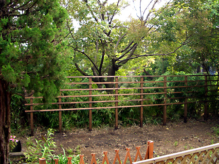 日々雑感 - DoromPATIO