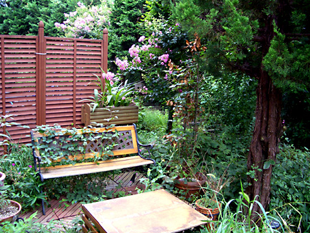 日々雑感 - DoromPATIO