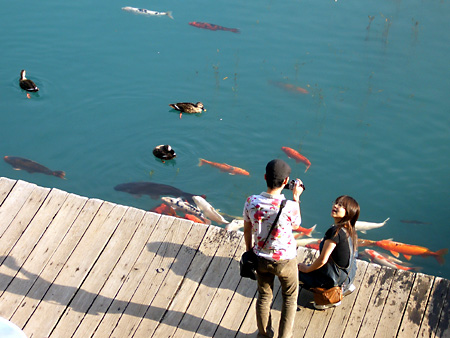 福島、磐梯朝日国立公園、猪苗代湖、会津若松、大内宿、British Hills、ブリティッシュヒルズ