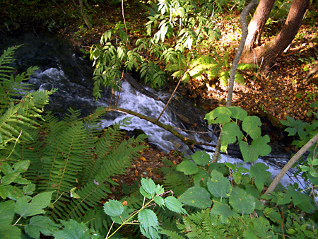 福島、磐梯朝日国立公園、猪苗代湖、会津若松、大内宿、British Hills、ブリティッシュヒルズ