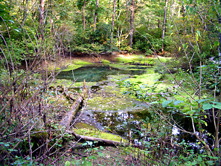 福島、磐梯朝日国立公園、猪苗代湖、会津若松、大内宿、British Hills、ブリティッシュヒルズ