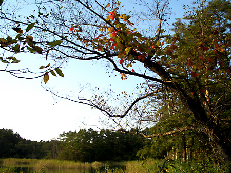 福島、磐梯朝日国立公園、猪苗代湖、会津若松、大内宿、British Hills、ブリティッシュヒルズ