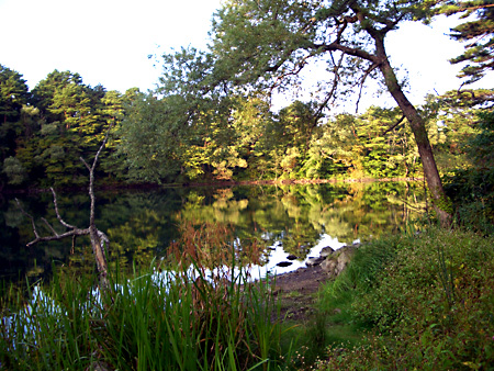 福島、磐梯朝日国立公園、猪苗代湖、会津若松、大内宿、British Hills、ブリティッシュヒルズ