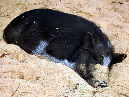 福島、磐梯朝日国立公園、猪苗代湖、会津若松、大内宿、British Hills、ブリティッシュヒルズ