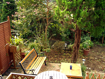 日々雑感 - DoromPATIO