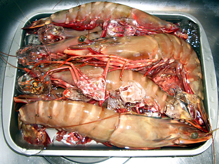 日々雑感 - DoromPATIO