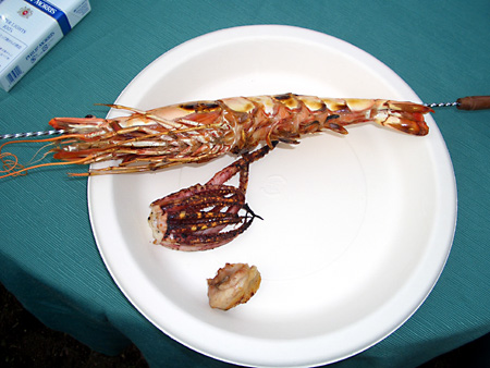 日々雑感 - DoromPATIO