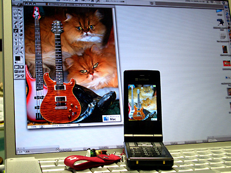 日々雑感 - DoromPATIO