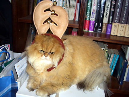 日々雑感 - DoromPATIO