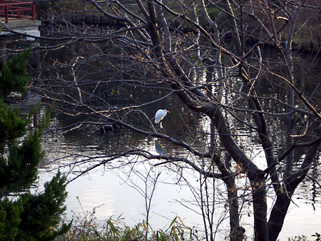 日々雑感 - DoromPATIO