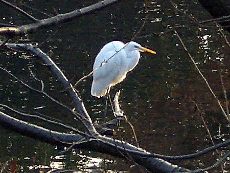 日々雑感 - DoromPATIO