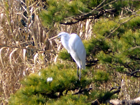 日々雑感 - DoromPATIO