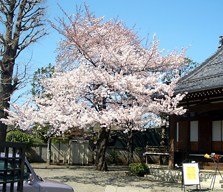 日々雑感 - DoromPATIO