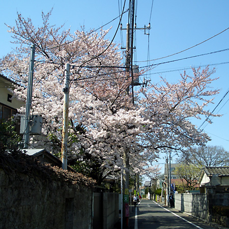 日々雑感 - DoromPATIO