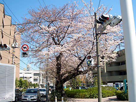 日々雑感 - DoromPATIO