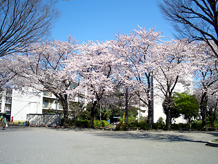 日々雑感 - DoromPATIO