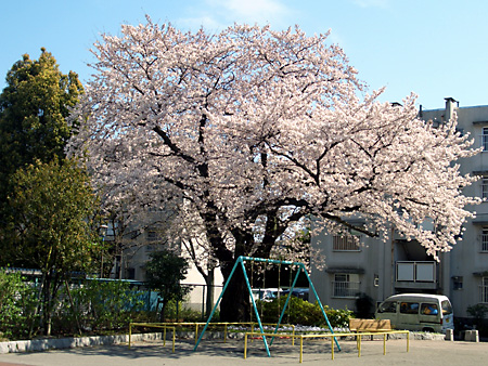 日々雑感 - DoromPATIO