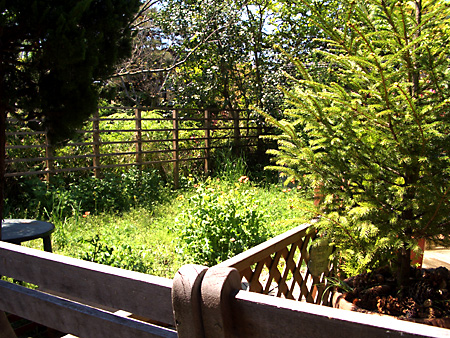 日々雑感 - DoromPATIO