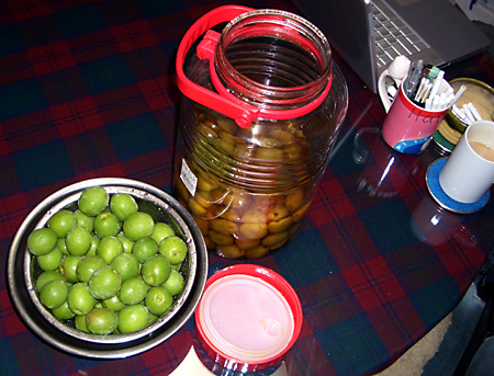 日々雑感 - DoromPATIO