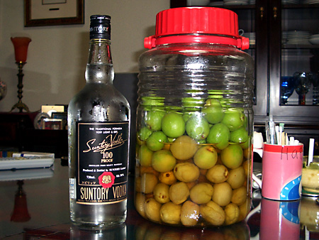 日々雑感 - DoromPATIO