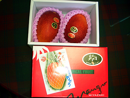 日々雑感 - DoromPATIO