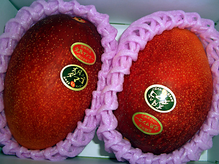 日々雑感 - DoromPATIO