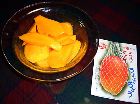 日々雑感 - DoromPATIO