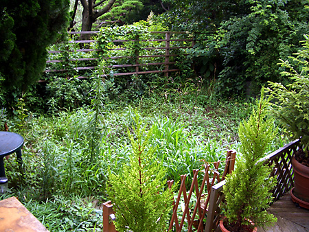 日々雑感 - DoromPATIO