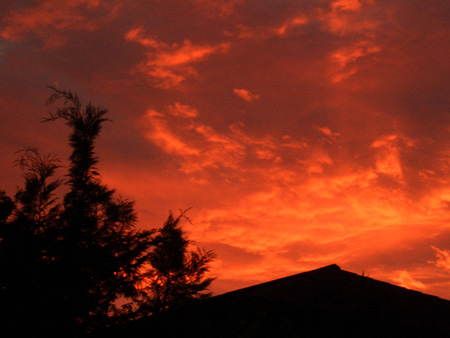 日々雑感 - DoromPATIO