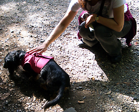 鬼怒川温泉、東武ワールドスクエア