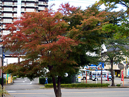 鬼怒川温泉、東武ワールドスクエア