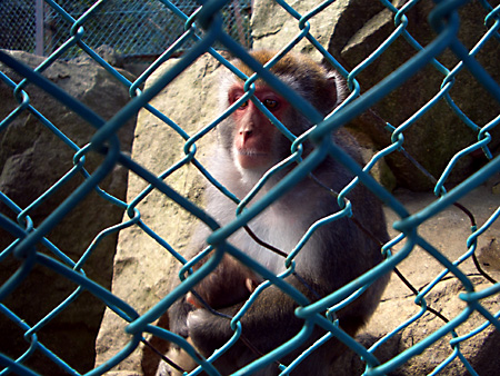 鬼怒川温泉、東武ワールドスクエア