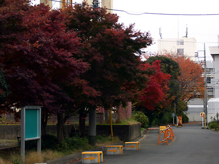 日々雑感 - DoromPATIO