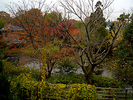 日々雑感 - DoromPATIO