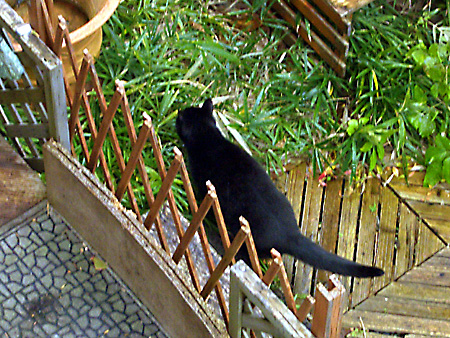 日々雑感 - DoromPATIO