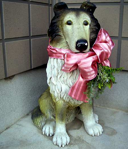 日々雑感 - DoromPATIO