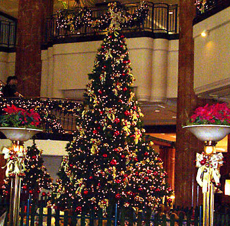 日々雑感 - DoromPATIO