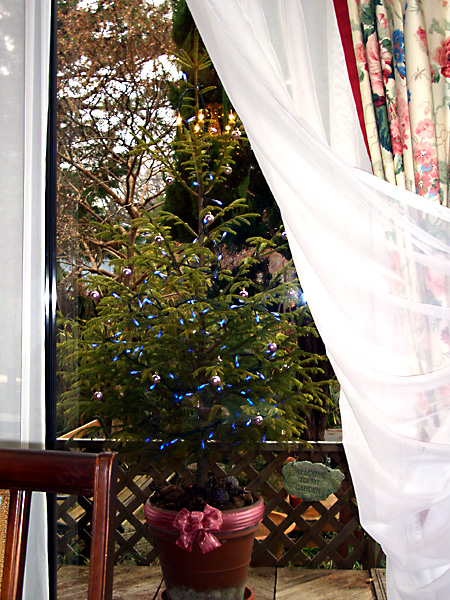 日々雑感 - DoromPATIO