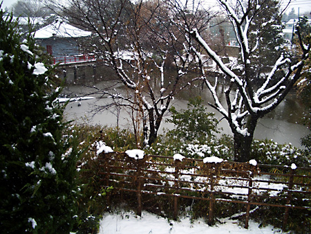 日々雑感 - DoromPATIO